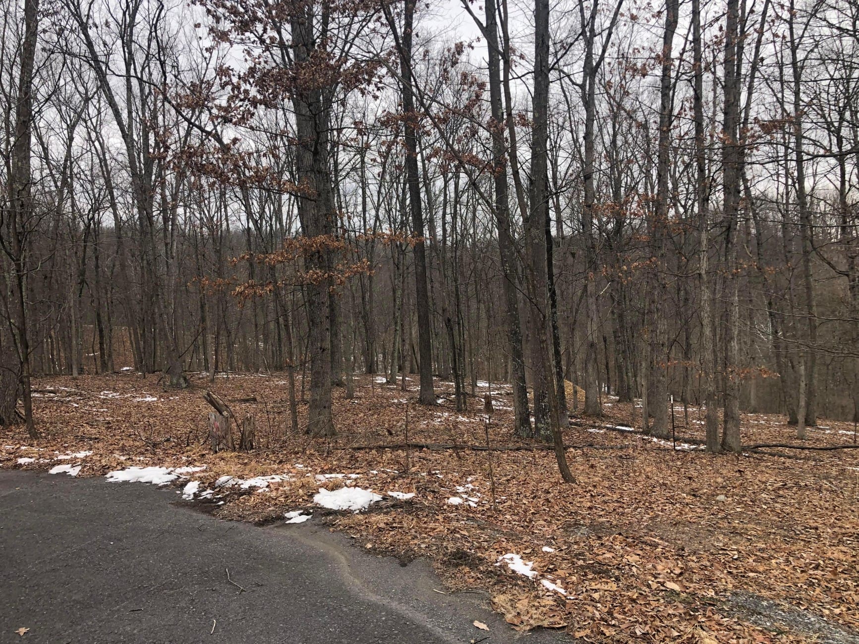 Multiple Building Lots – Sleepy Knolls Subdivision