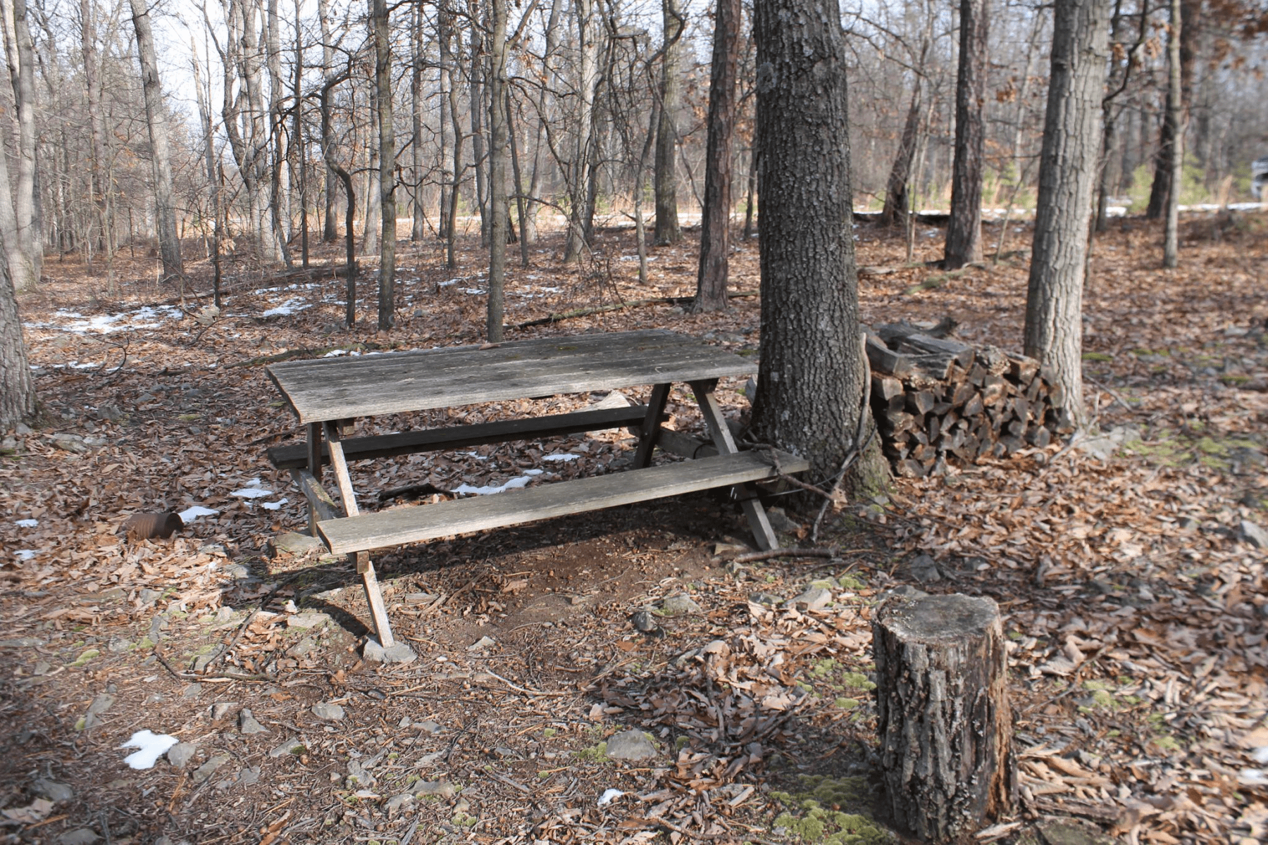 LOT # 217 DOMAN RIDGE ROAD, ROMNEY WV 26763