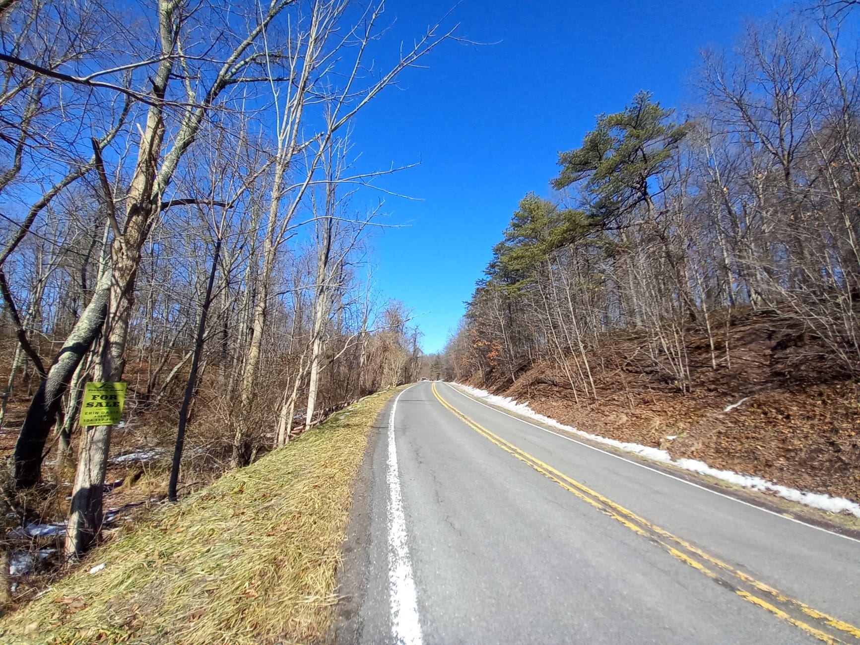 Romney – 13 UNRESTRICTED ACRES!!