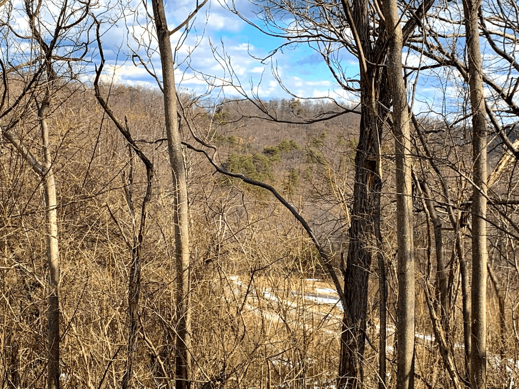BLUFFS MILL RD
