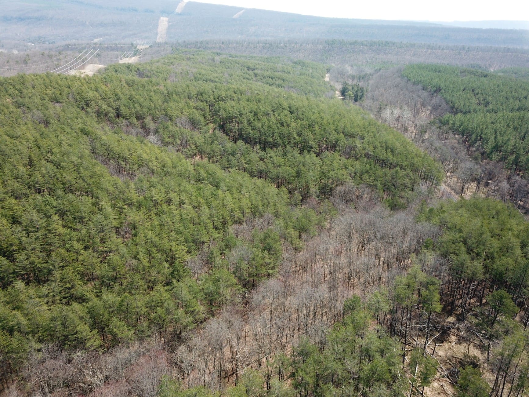 20.10 AC LOT 24 SHORT HOLLOW RD