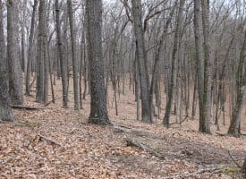 40.45 ACRES HOWARDS LICK RD