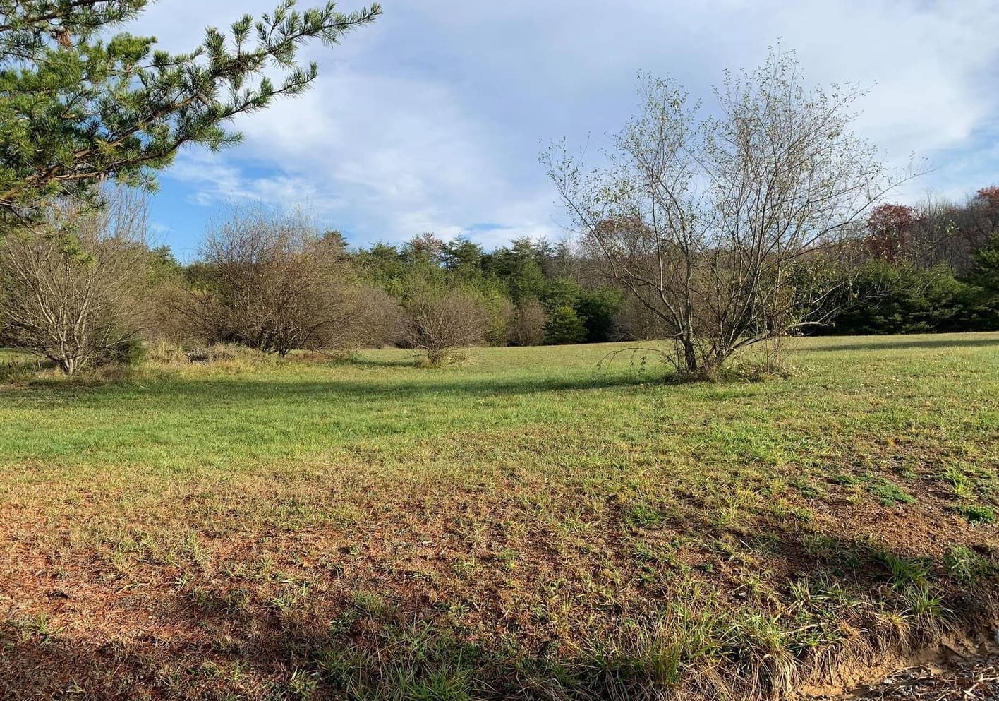 13 PASO FINO DR AUGUSTA WV 26704