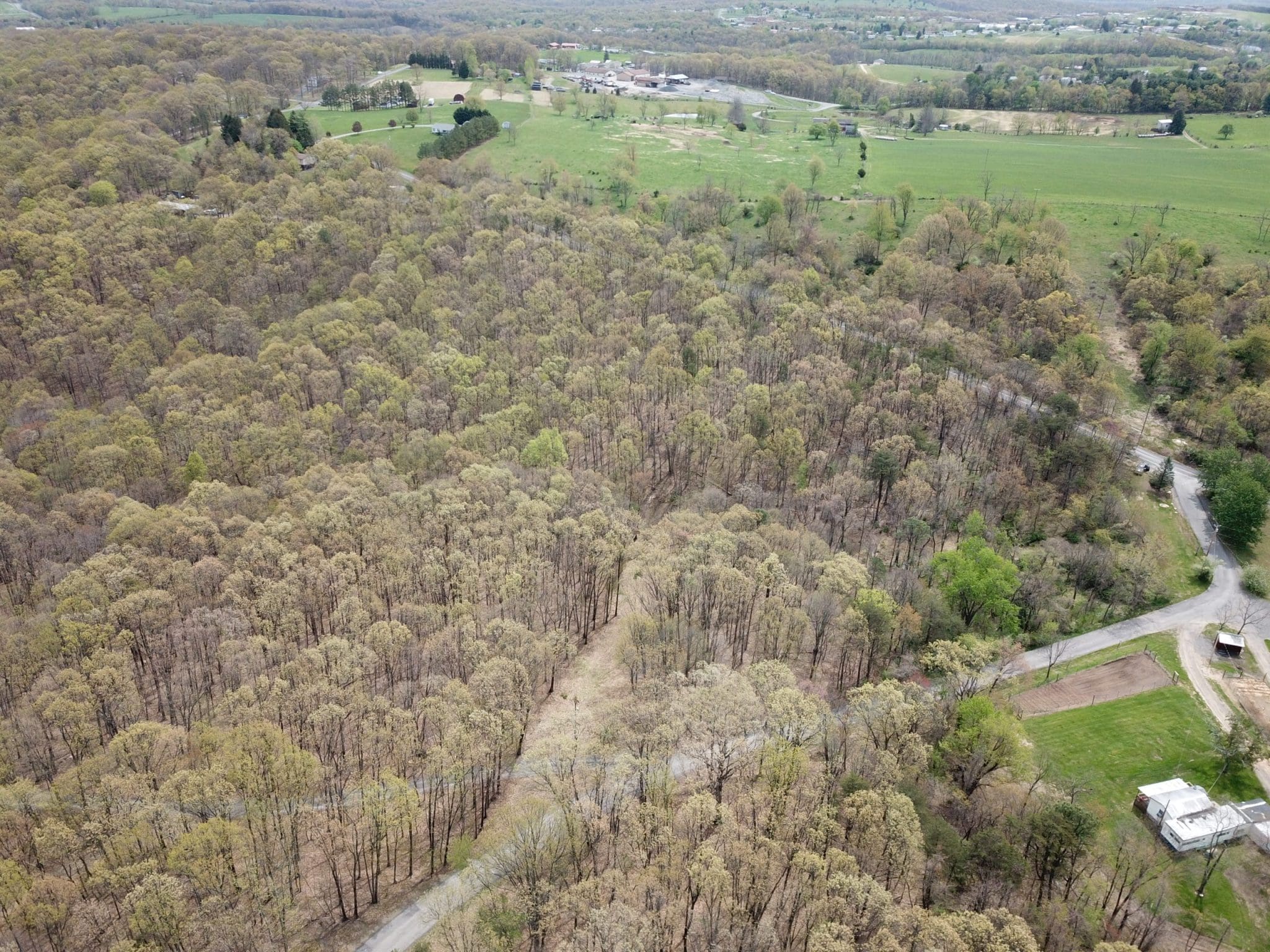 20.98 AC LOT E SAND HILL RD ROMNEY WV