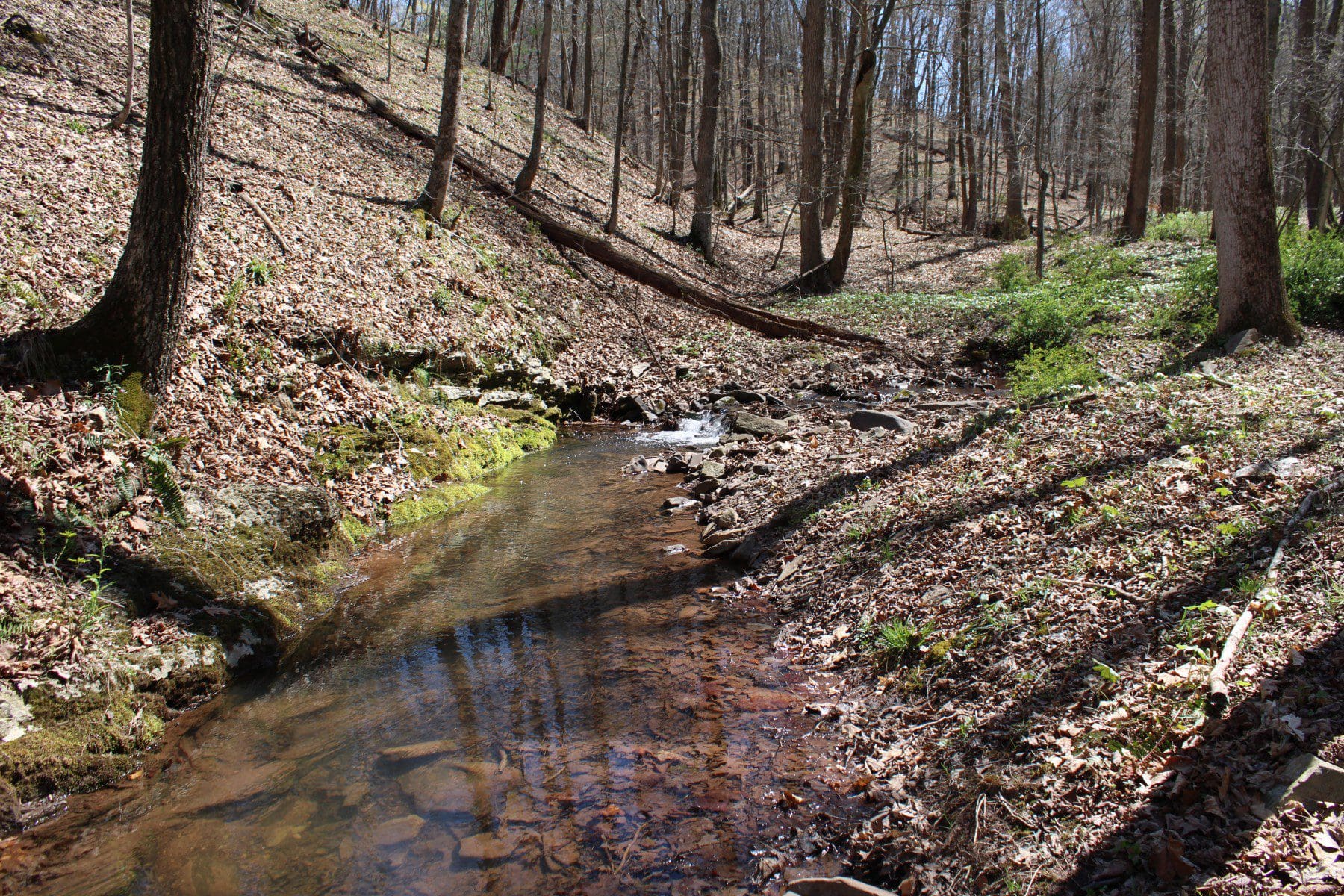 LOT 15 SPRING GAP RD