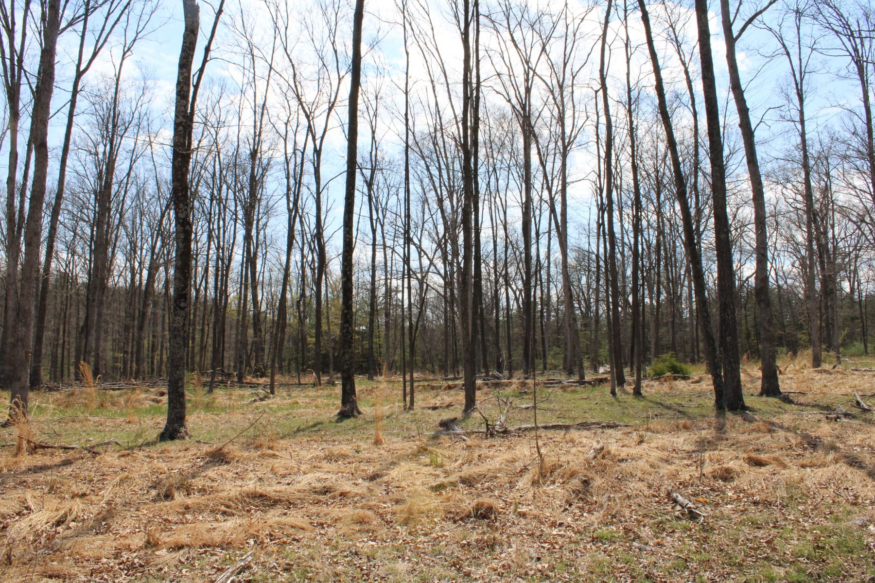 16.72 AC KNOBLEY RD KEYSER WV