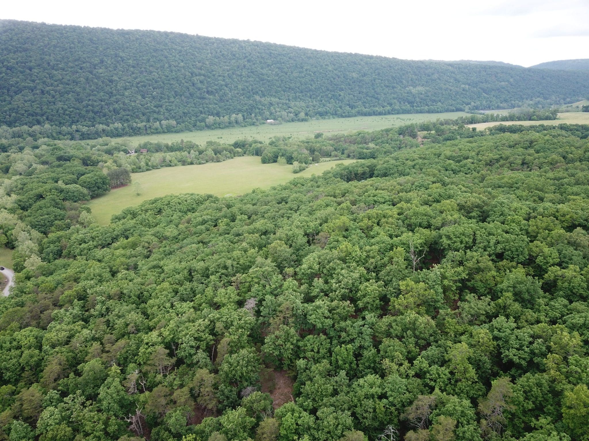 13.87 AC RIVER RD ROMNEY WV