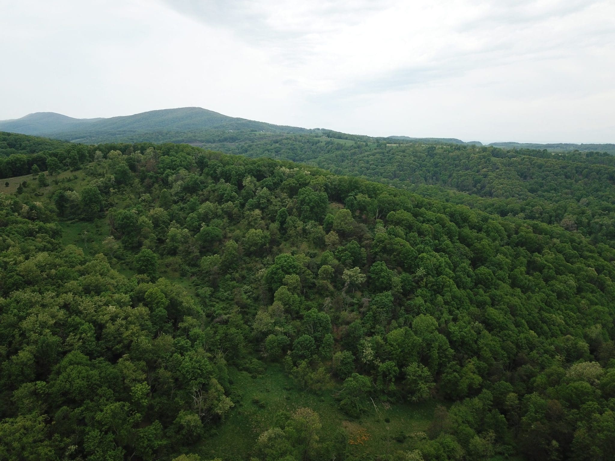 PAUL BEAN RD BAKER WV 26801
