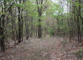 20.10 LOT 93 BLUFFS MIDDLE RD