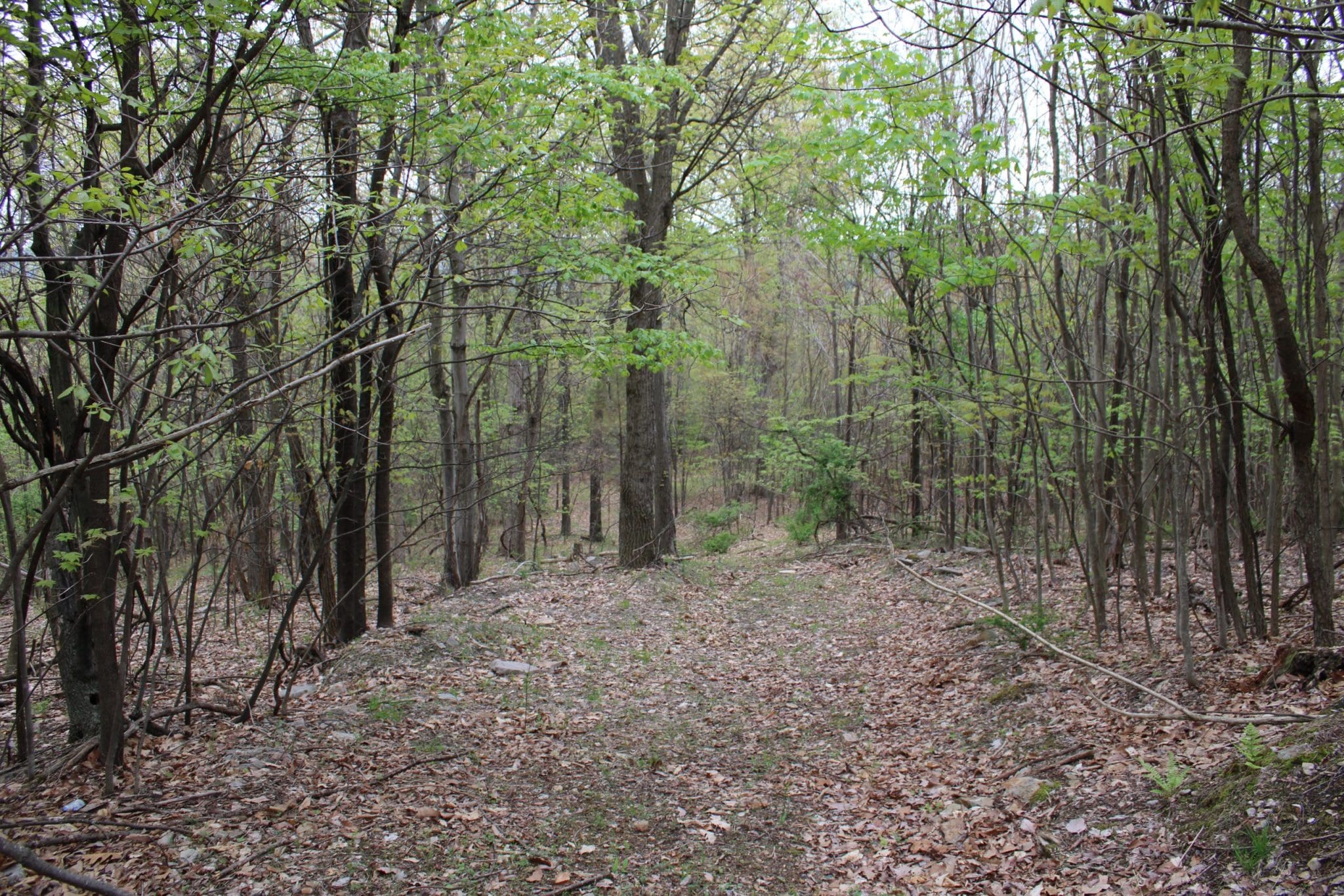20.10 LOT 93 BLUFFS MIDDLE RD