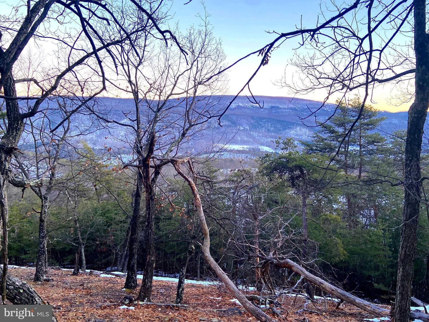 41.25 AC MT LAKE RETREAT DR PETERSBURG WV