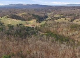 1054 FLEMING RD PURGITSVILLE WV 26852