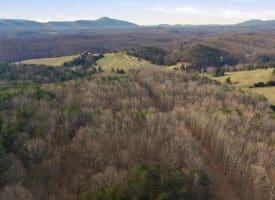 1054 FLEMING RD PURGITSVILLE WV 26852