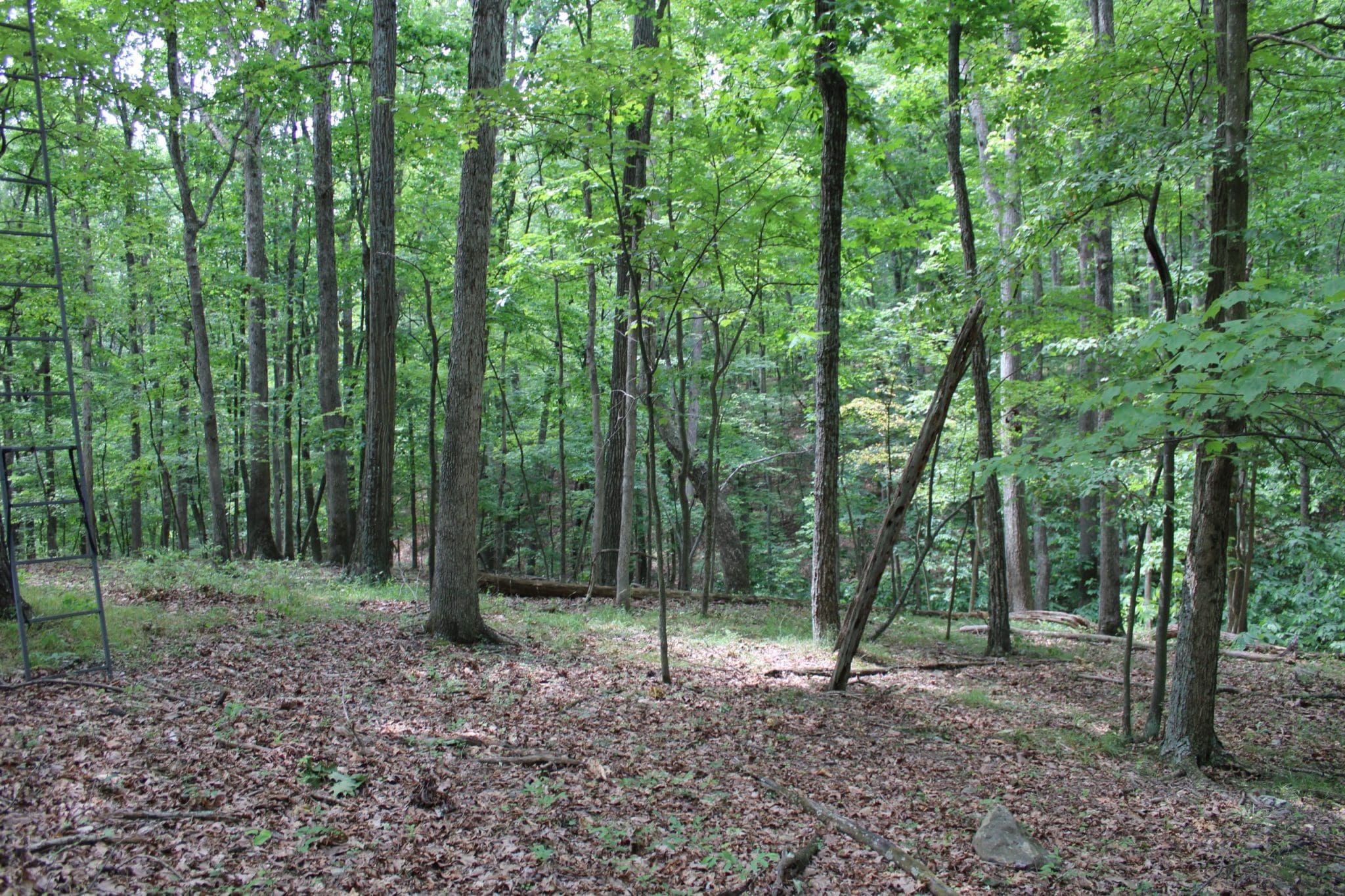 22.55 AC WHISPERING PINES SLANESVILLE