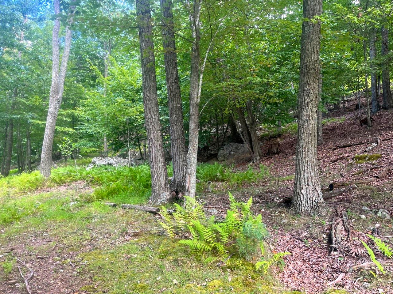 14 AC BOULDER DR MATHIAS WV 26812