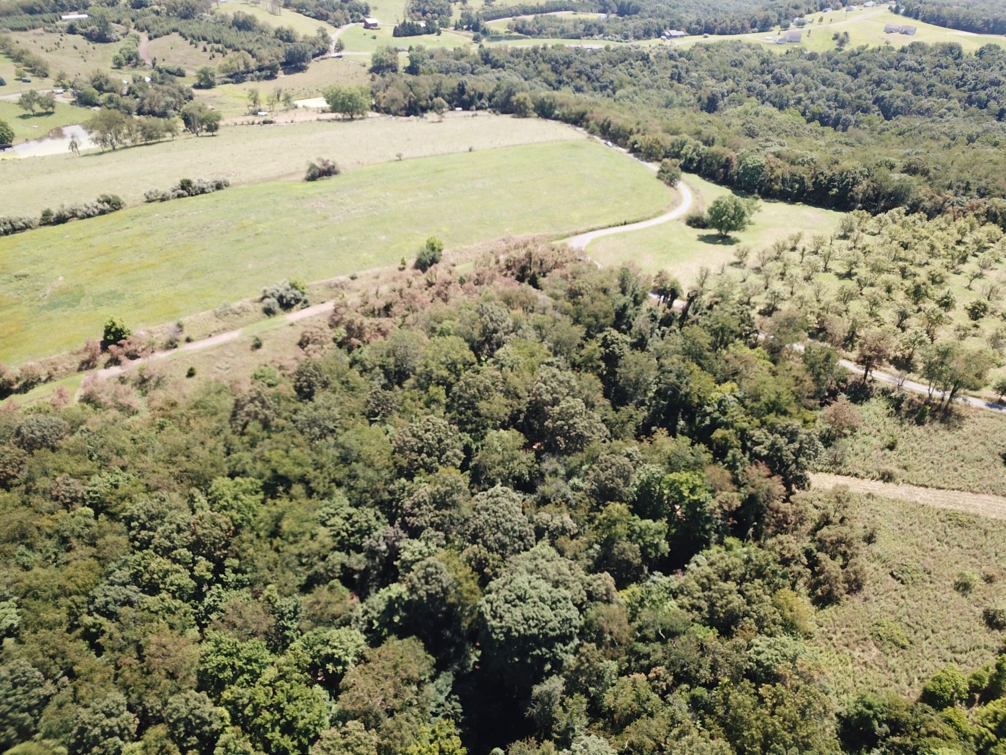 LOT 25 PEAR LN ROMNEY WV