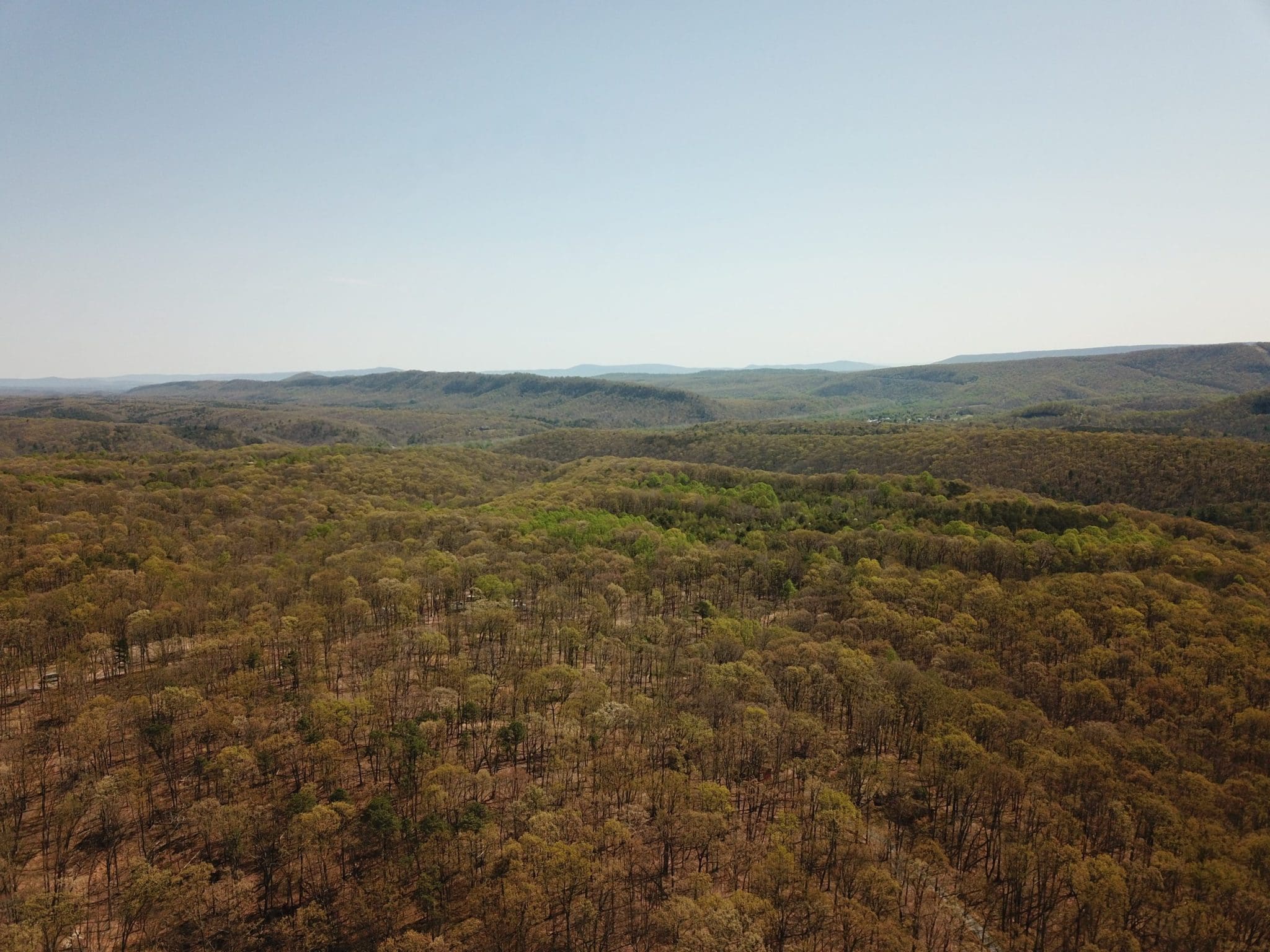 81.89 AC WOODMONT RD GREAT CACAPON WV 25422