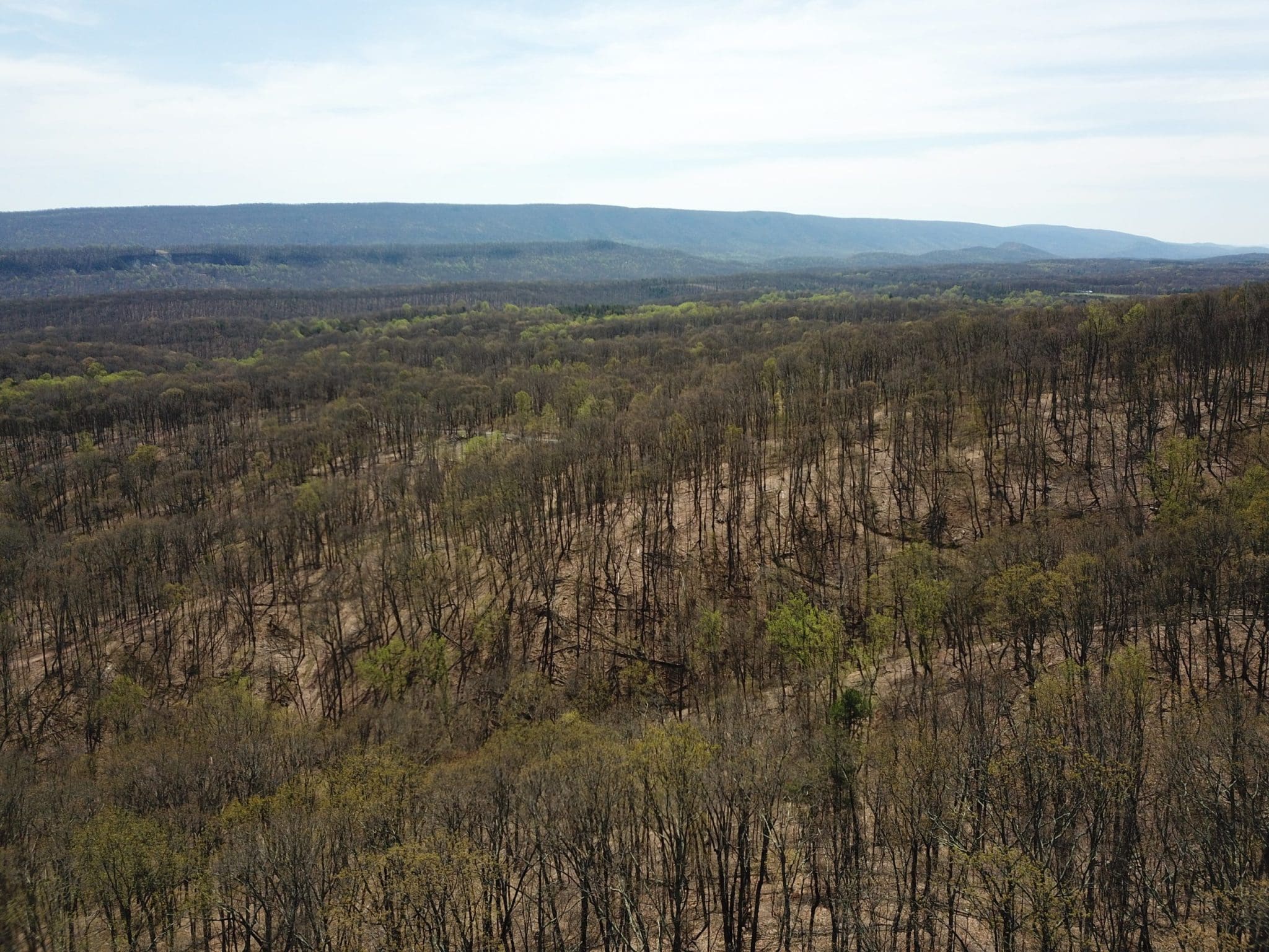 936 AC WOODMONT RD GREAT CACAPON WV 25422