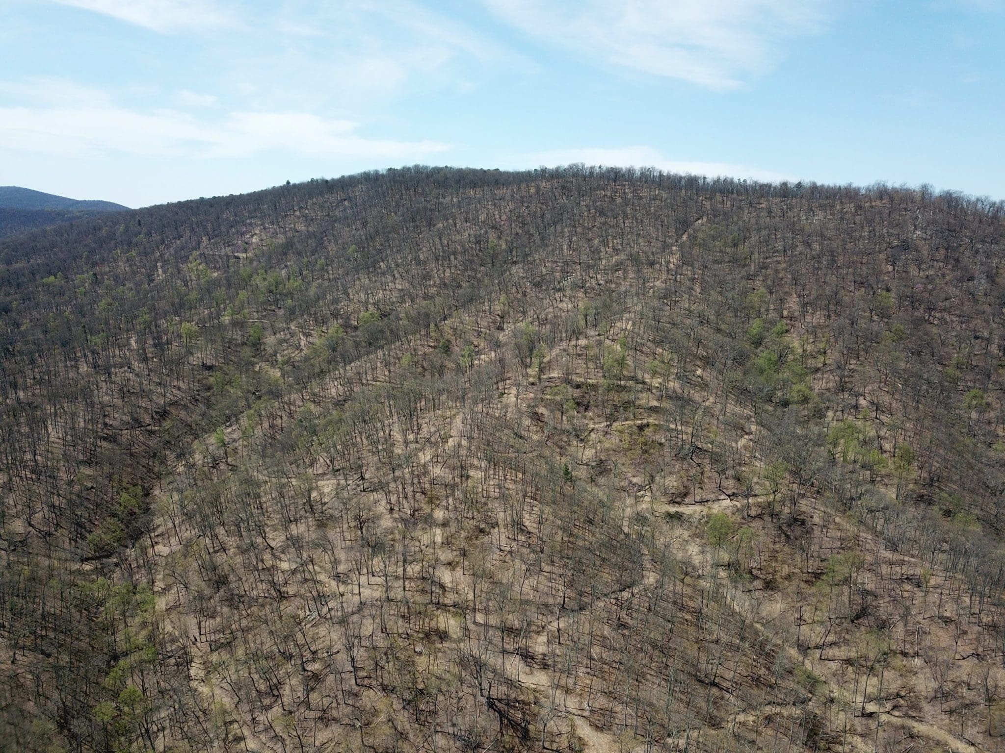 855.05 AC WOODMONT RD GREAT CACAPON WV 25422