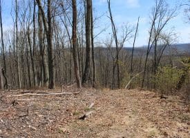 855.05 AC WOODMONT RD GREAT CACAPON WV 25422