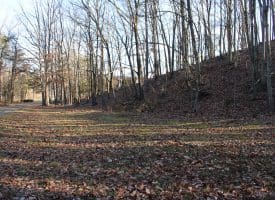 Lot 49 Pine Pointe Rd Keyser WV 26726