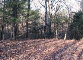 Lot 49 Pine Pointe Rd Keyser WV 26726
