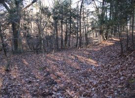 Lot 49 Pine Pointe Rd Keyser WV 26726