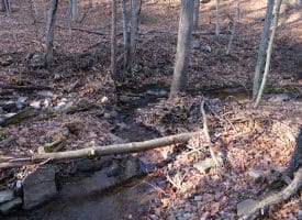 Lot 49 Pine Pointe Rd Keyser WV 26726