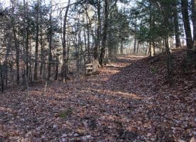 Lot 49 Pine Pointe Rd Keyser WV 26726