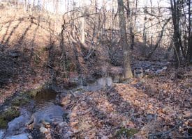 Lot 49 Pine Pointe Rd Keyser WV 26726