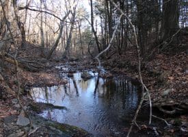 Lot 49 Pine Pointe Rd Keyser WV 26726