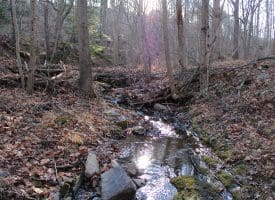 Lot 49 Pine Pointe Rd Keyser WV 26726