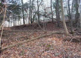 Lot 49 Pine Pointe Rd Keyser WV 26726