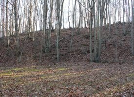 Lot 49 Pine Pointe Rd Keyser WV 26726