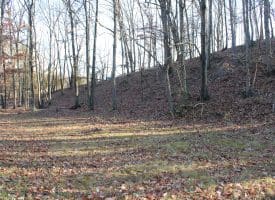 Lot 49 Pine Pointe Rd Keyser WV 26726