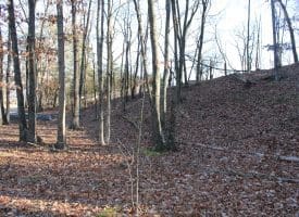 Lot 49 Pine Pointe Rd Keyser WV 26726