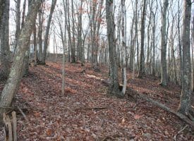 Lot 49 Pine Pointe Rd Keyser WV 26726