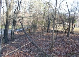 Lot 49 Pine Pointe Rd Keyser WV 26726