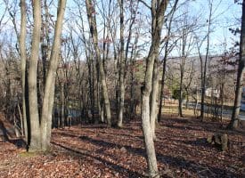 Lot 49 Pine Pointe Rd Keyser WV 26726