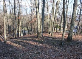 Lot 49 Pine Pointe Rd Keyser WV 26726