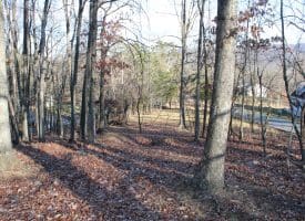 Lot 49 Pine Pointe Rd Keyser WV 26726