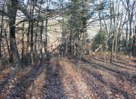 Lot 49 Pine Pointe Rd Keyser WV 26726