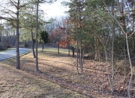 Lot 49 Pine Pointe Rd Keyser WV 26726
