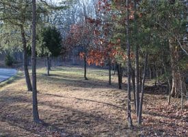 Lot 49 Pine Pointe Rd Keyser WV 26726