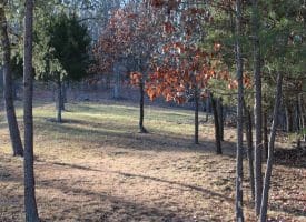 Lot 49 Pine Pointe Rd Keyser WV 26726
