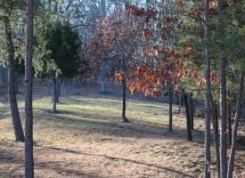Lot 49 Pine Pointe Rd Keyser WV 26726