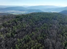 #80 Bluffs Springs Hollow – Perfect Mountain Land!