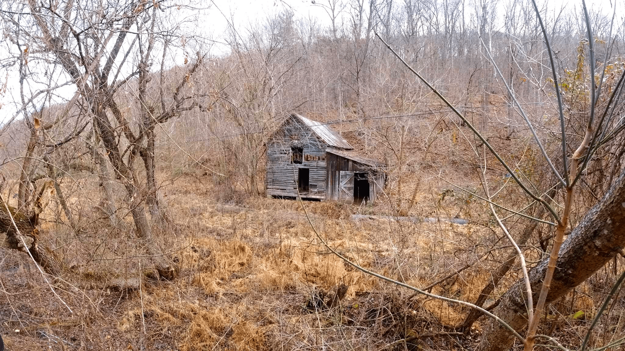 381 Core Rd Romney WV 26757