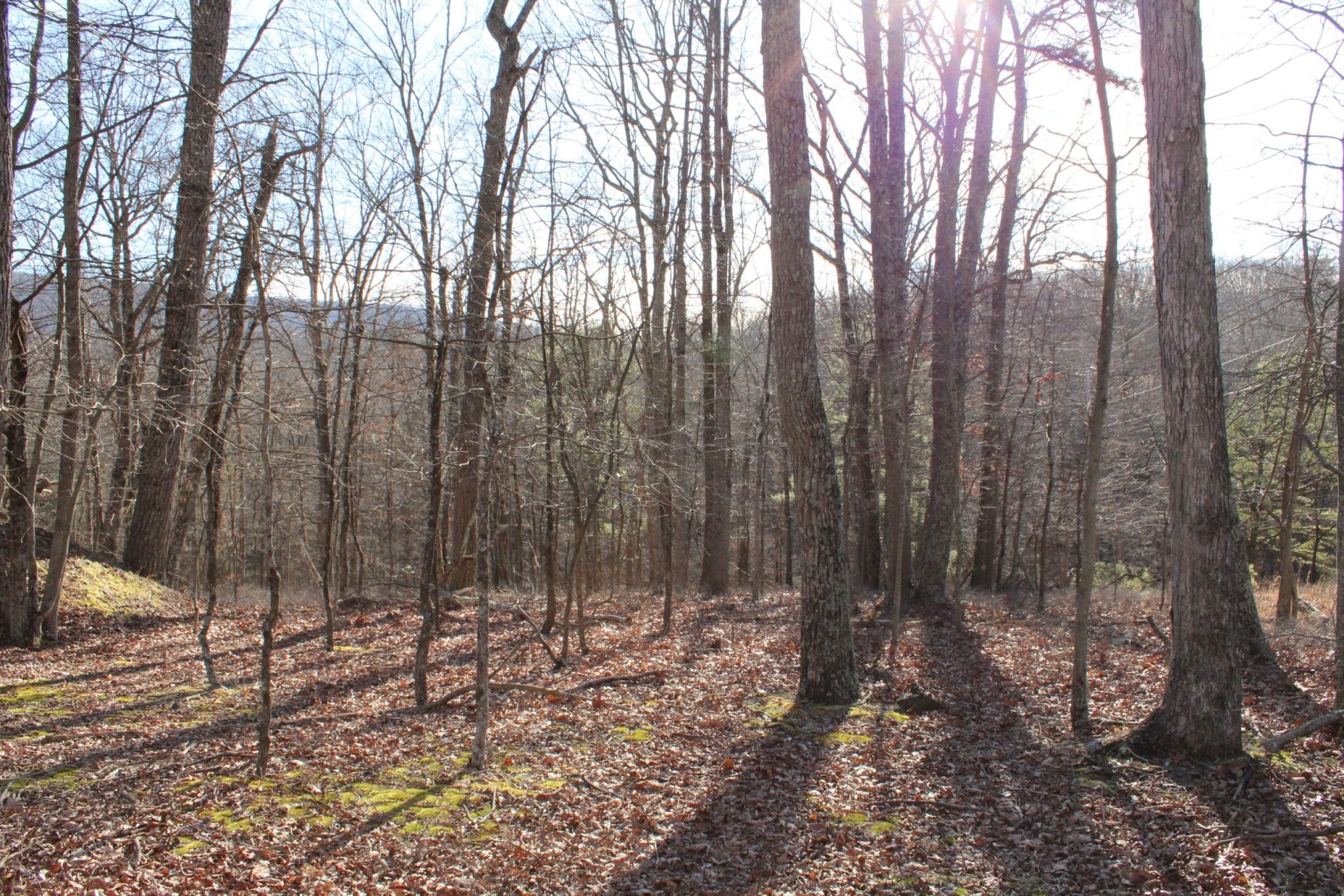 6.02 AC Whispering Pines Rd Paw Paw WV 25434