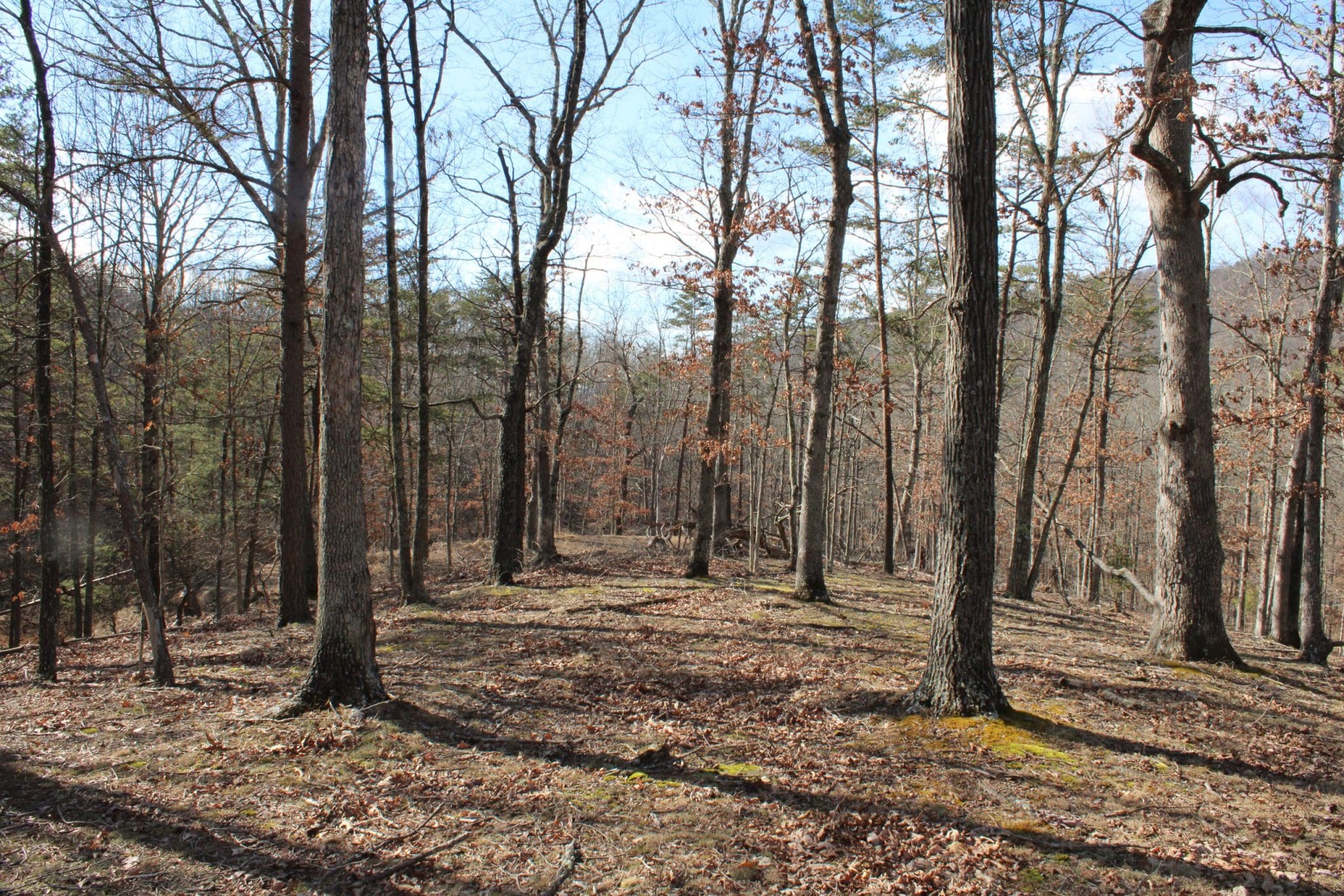 20.32 AC Trough Road Moorefield WV